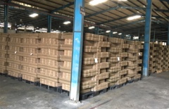 Bao bì Bia Sài Gòn: Sản xuất bao bì carton